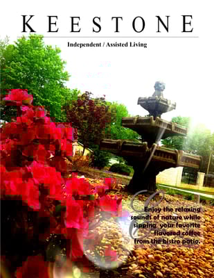 Outdoor garden area with flowers and fountain