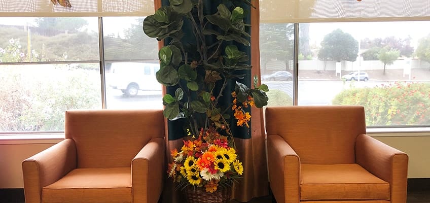 Cozy seating area with decorative flowers