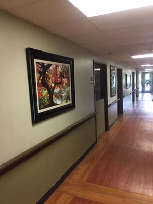 Jefferson Healthcare