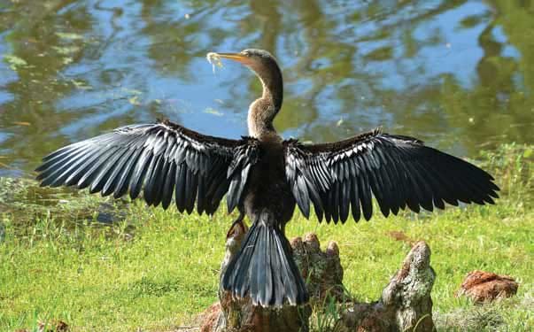 The Estates At Carpenters