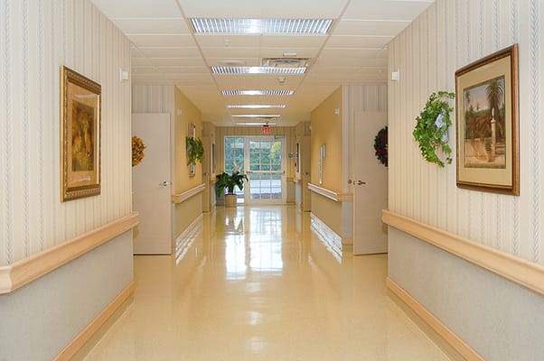 A well-lit corridor in the facility with decorative elements