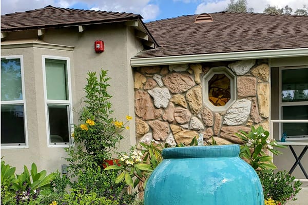 Exterior view of outdoor space with greenery and water feature