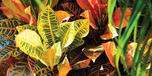 The Estates At Carpenters