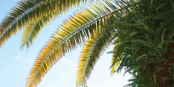 The Estates At Carpenters