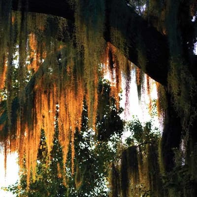 The Estates At Carpenters