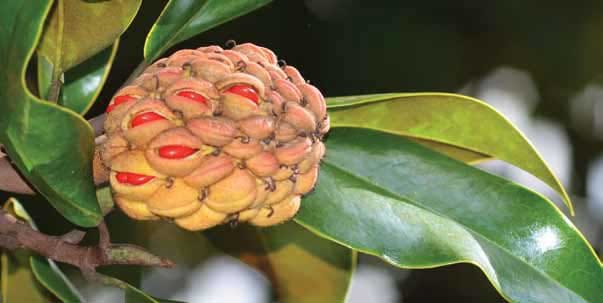 The Estates At Carpenters