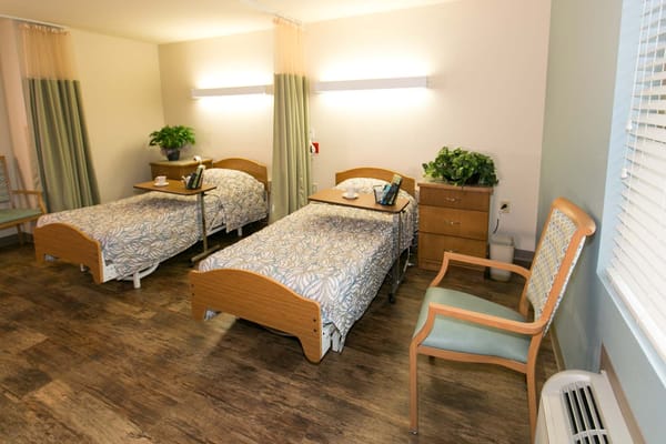 Brightly lit shared bedroom with two beds and plants