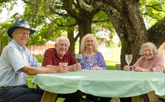 Seniors enjoying drinks outdoors under a tree