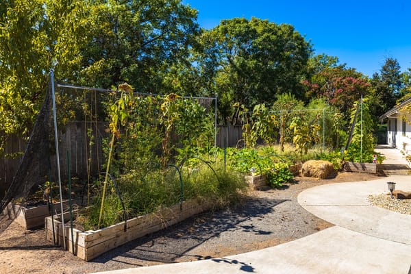 Community garden with raised beds and sunny sky