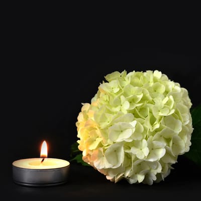 Pinnacle Hospice Care of Portland