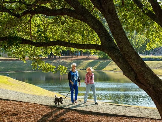 The Commons At Brightmore