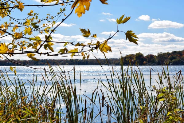 Mission Nursing Home