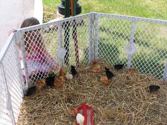 Roosevelt Care Centers