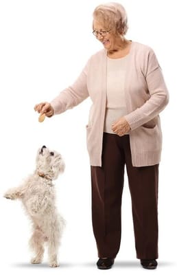 The Courtyard at Little Chico Creek