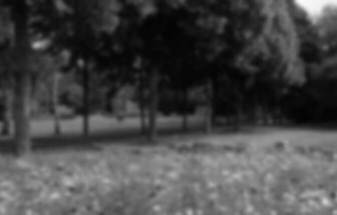 Always Best Care – Greenwood