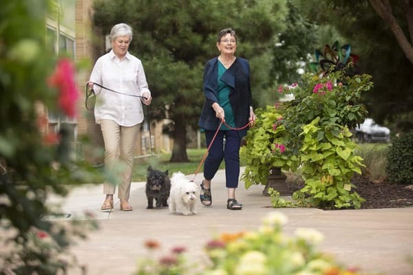 Two women walking small dogs in a garden