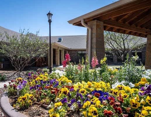 Vibrant flower beds enhancing outdoor space