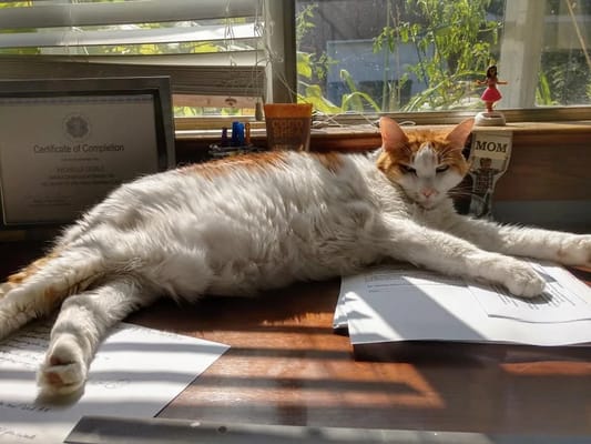 Welcome Home of Chattanooga