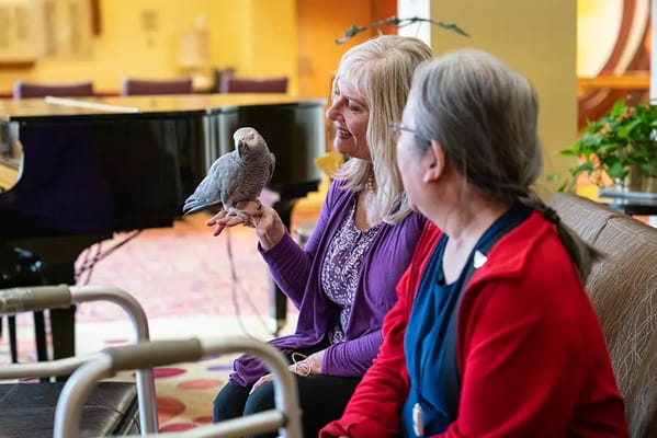 Residents interacting with a pet parrot in a common area