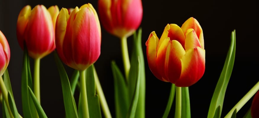 Breezewood Assisted Living