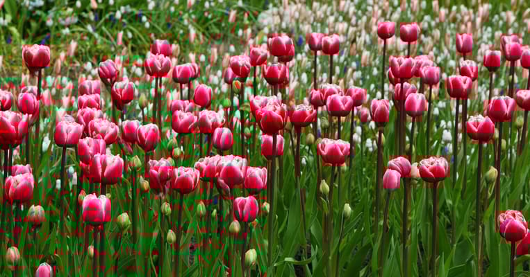 Breezewood Assisted Living