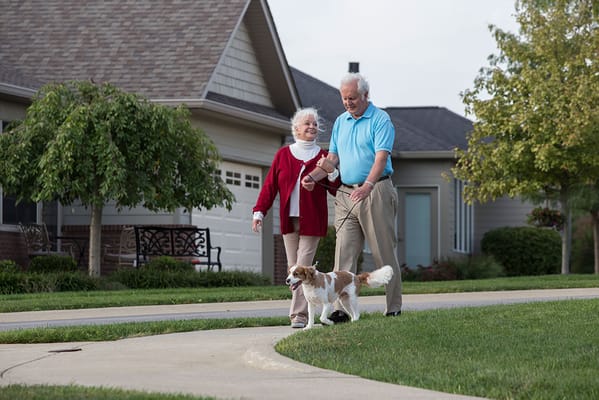 A senior couple walking a dog in a landscaped area