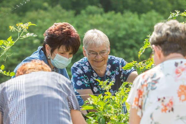 Residents gardening together in a vibrant outdoor setting