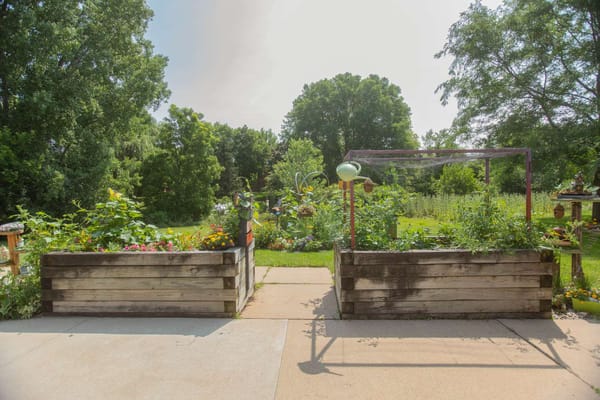 Garden area with raised flower beds and greenery