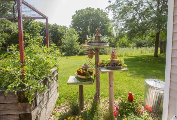 A garden area with decorative planters and greenery