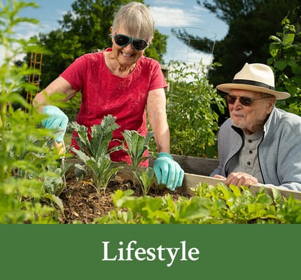 Residents gardening together in a community garden