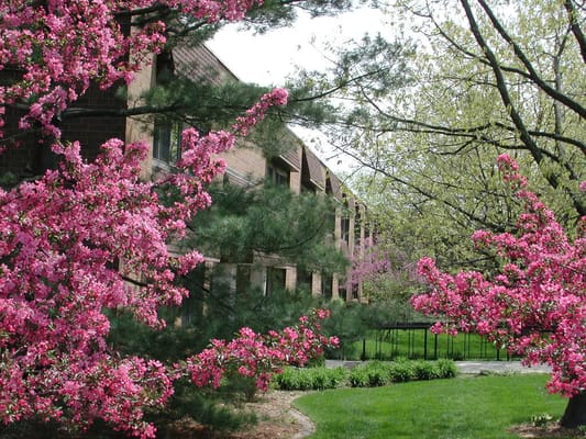 Exterior view of a senior living facility with blooming trees