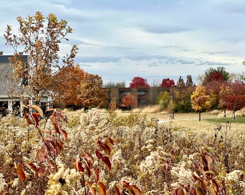 Outdoor view with autumn foliage and facility in background