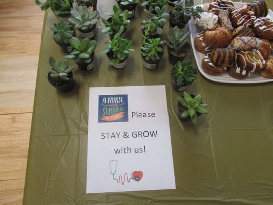 Table setting with plants and pastries for an event