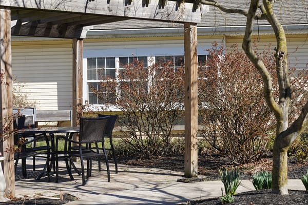 Outdoor seating area with pergola and plants