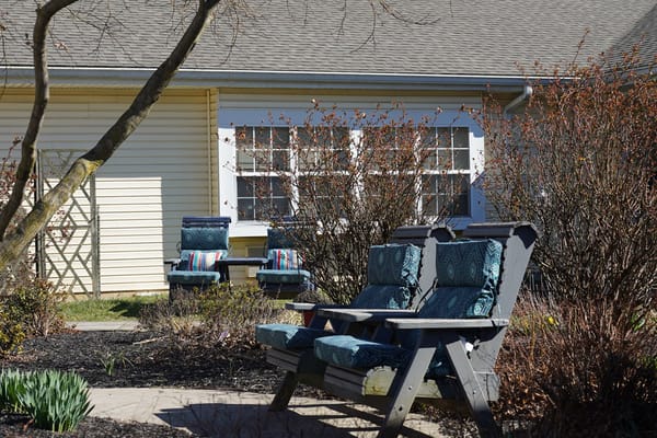 Outdoor seating area with chairs and blooming plants