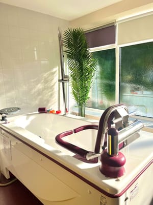 Therapeutic bathing area with a modern tub