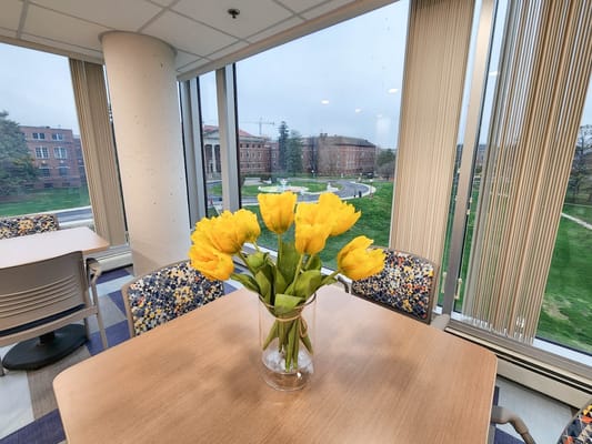 Bright interior view with yellow tulips and grassy outdoor space