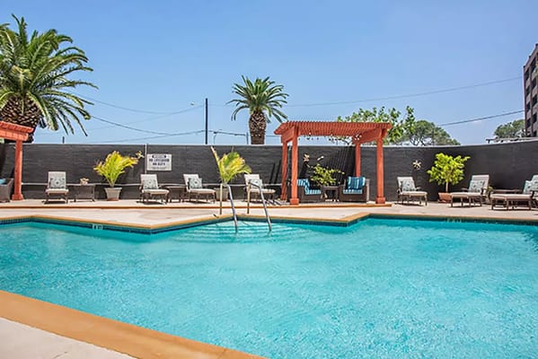 Outdoor swimming pool area with lounge chairs and palm trees