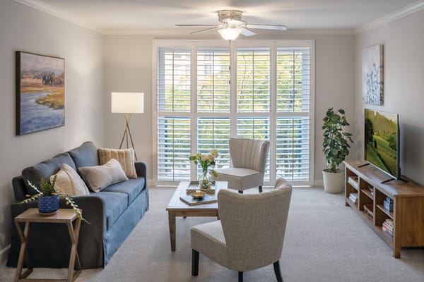 A cozy interior living space with natural light