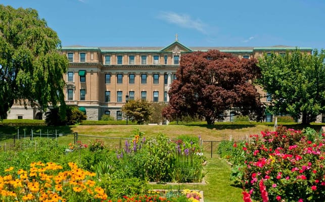 Garden with vibrant flowers and the facility building behind