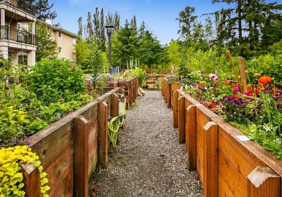 Path through a vibrant garden with flowers and plants