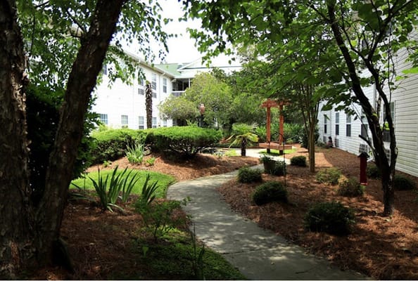 Pathway through a shaded outdoor garden area