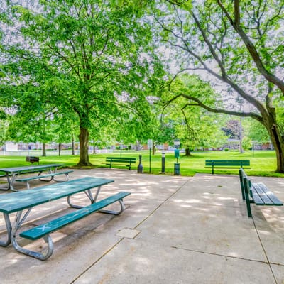 Outdoor seating area with picnic tables under trees