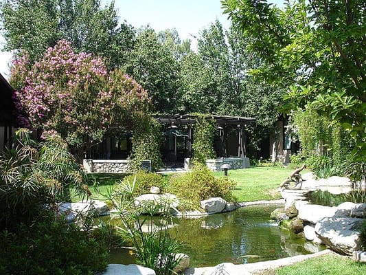 Lush garden area with pond and greenery