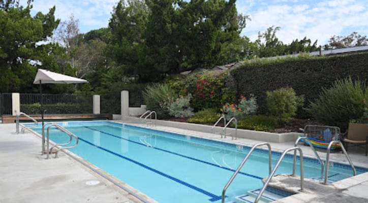 Outdoor swimming pool surrounded by greenery