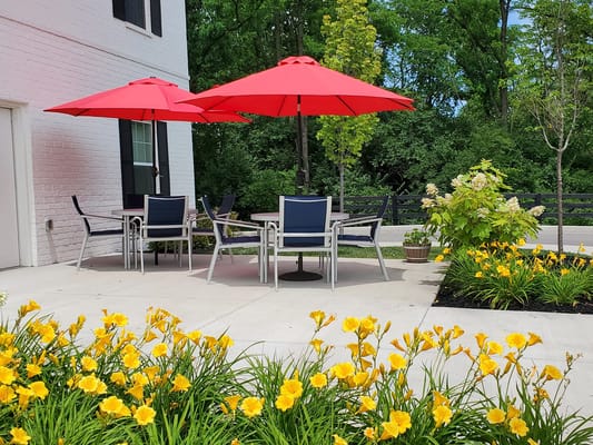 Outdoor seating area with red umbrellas and flowers