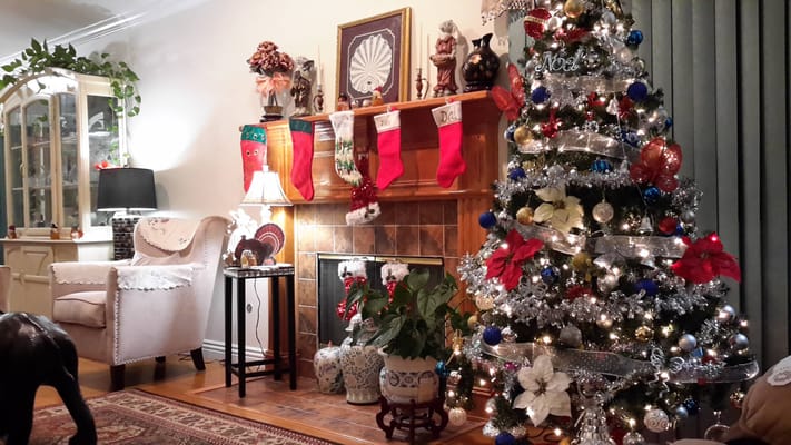 Living room decorated for Christmas with a tree and stockings.