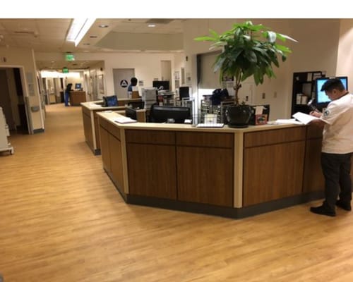 Reception desk in Kalynna Home with a staff member and a plant