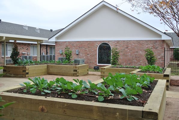 Garden beds with plants outside the facility