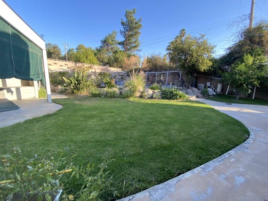 Lush outdoor area with garden and seating